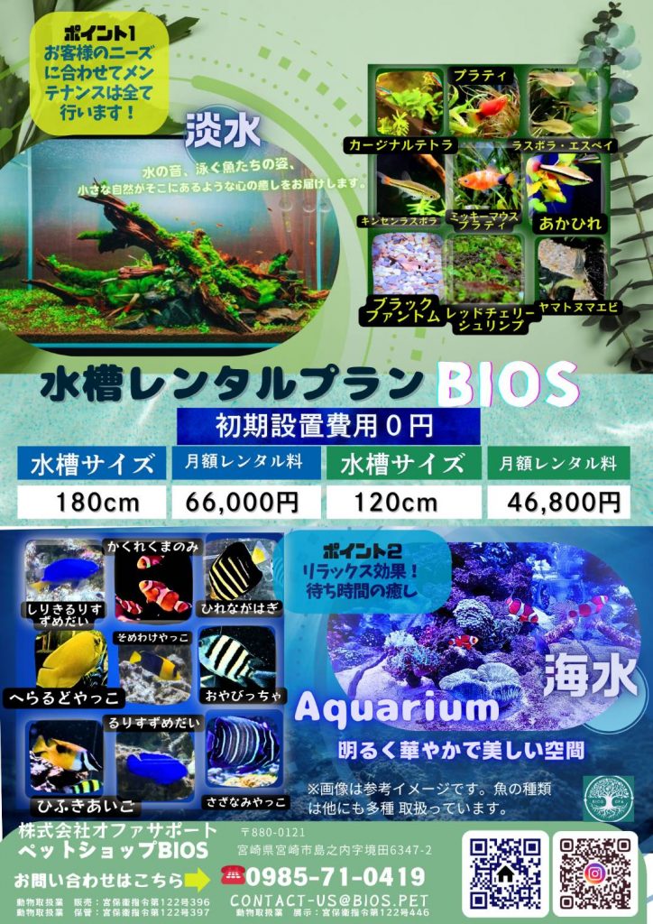 ペットショップBIOS ｜ 生物多様性を思う